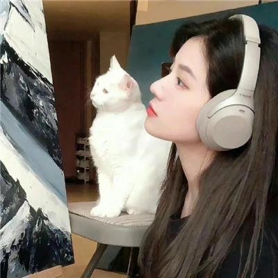 尼尔：机械纪元动画版